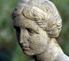 venusjpg