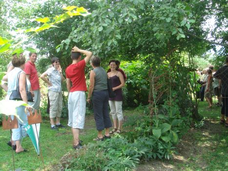 Besucher-467jpg