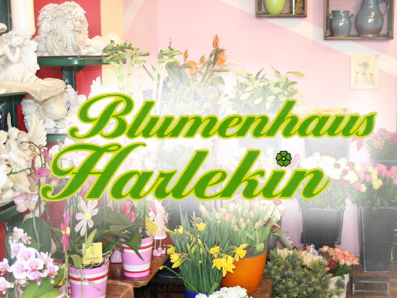 Home_harlekinpng