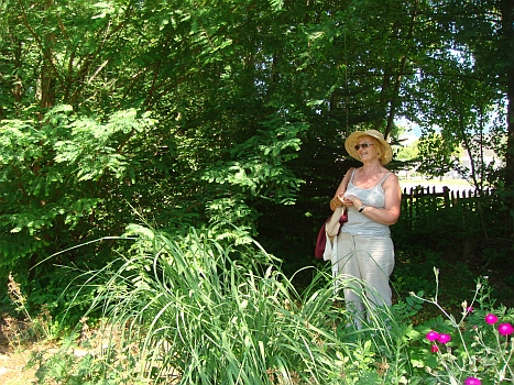 DSC09365-467jpg